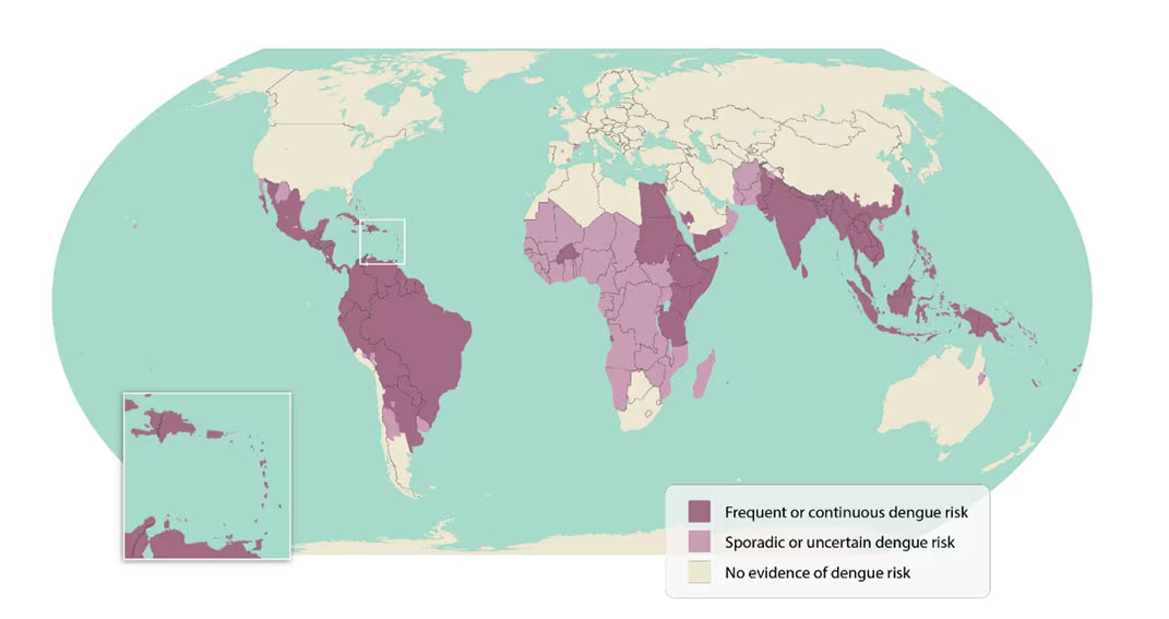 Map of Dengue risk