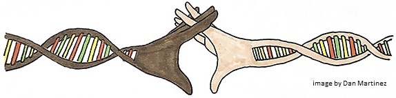 Illustration of a DNA strand transforming into two hands—one dark-skinned and one light-skinned—reaching out and clasping each other, symbolizing unity and connection through science and humanity. Image by Dan Martinez.